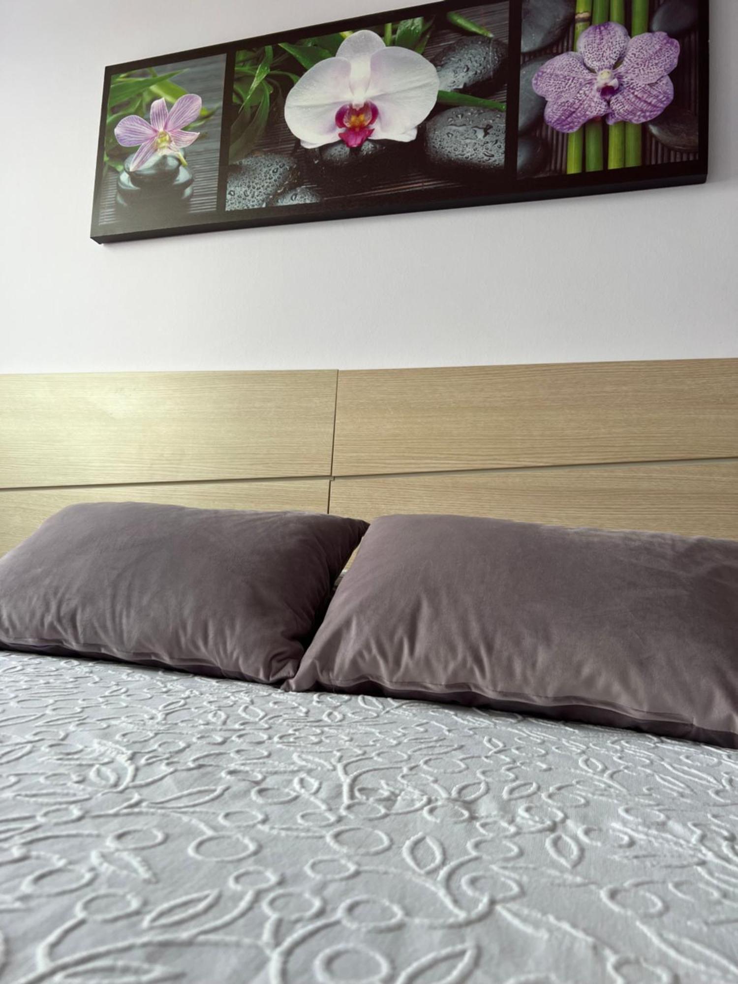 Marusia Apartamento Malpica Dış mekan fotoğraf